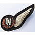 RAF Navigators Brevet - Click for the bigger picture