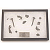 HMS Ajax Wreck Artifacts - Click for the bigger picture